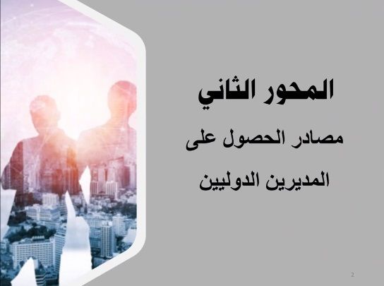 المحور الثاني: مصادر الحصول على المدير الدولي